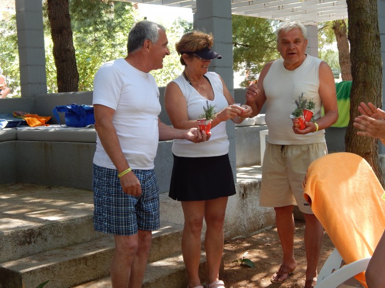 BRAČ 2013